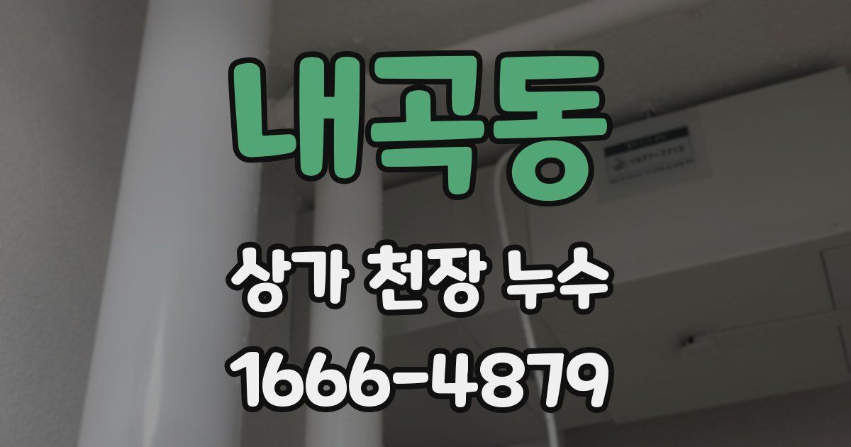 내곡동 상가 천장 누수