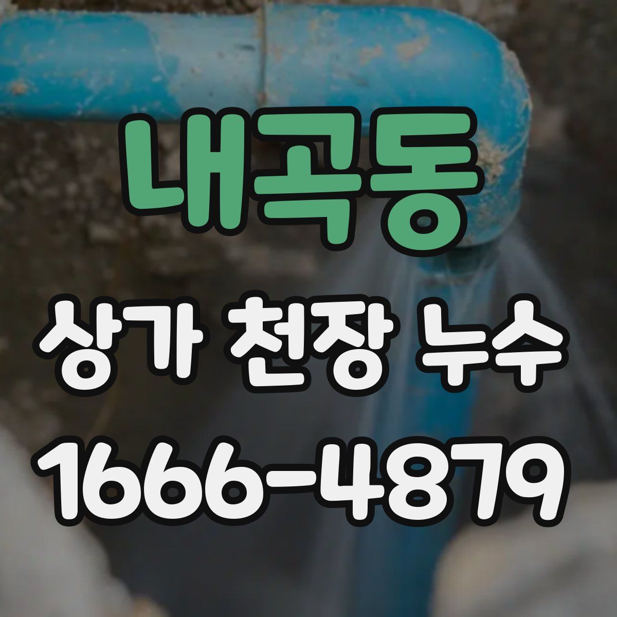 내곡동 상가 천장 누수