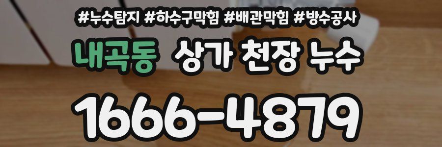 내곡동 상가 천장 누수