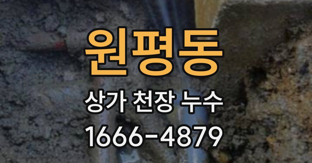 원평동 상가 천장 누수