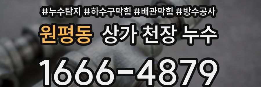 원평동 상가 천장 누수