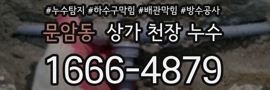 문암동 상가 천장 누수