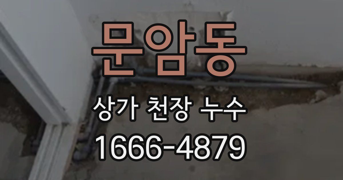 문암동 상가 천장 누수
