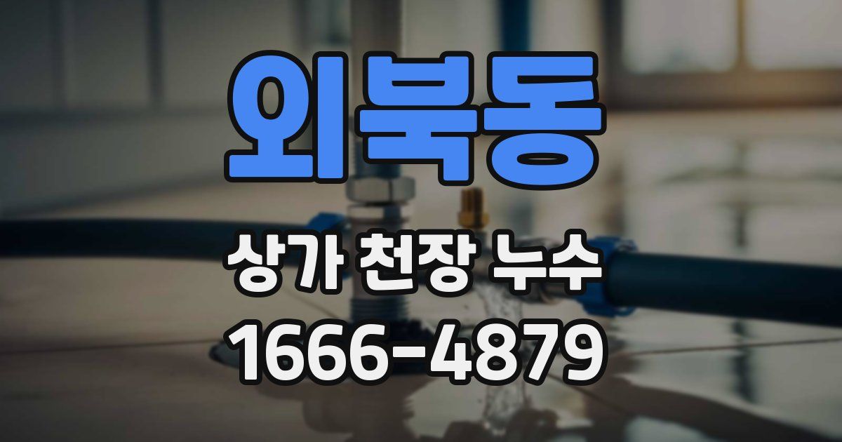 외북동 상가 천장 누수