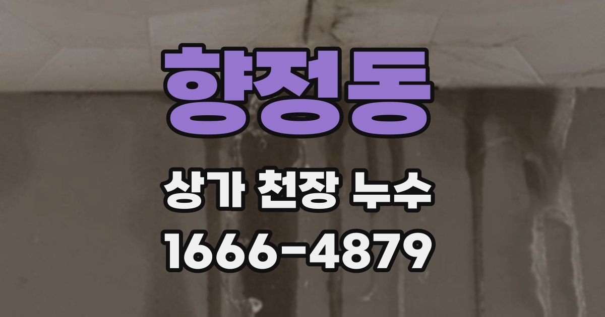 향정동 상가 천장 누수