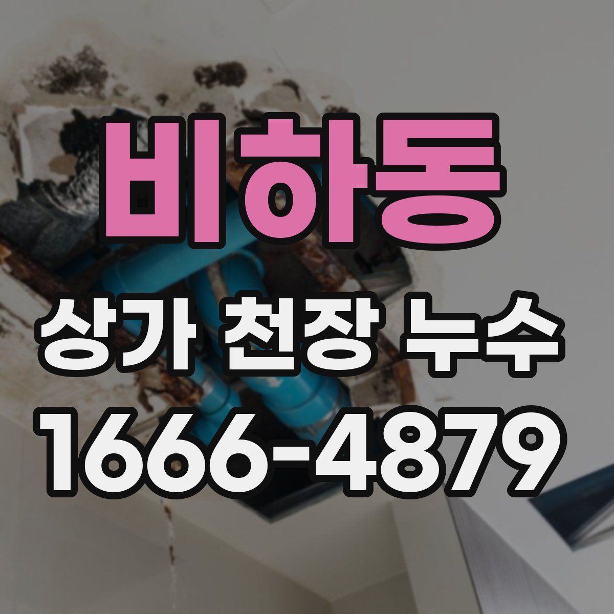 비하동 상가 천장 누수