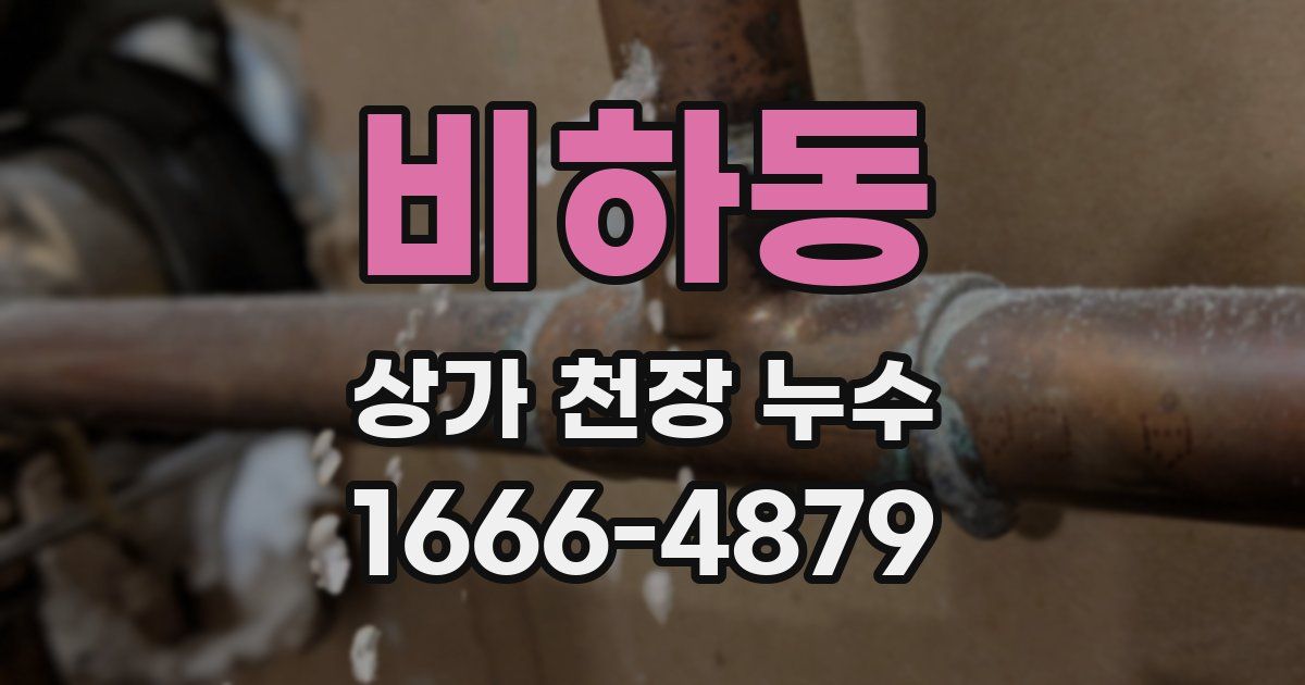 비하동 상가 천장 누수