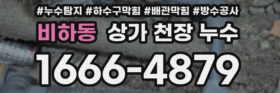 비하동 상가 천장 누수