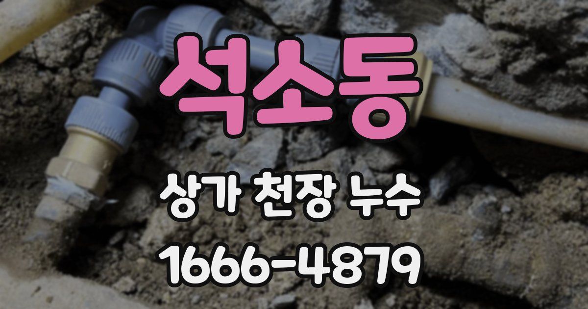 석소동 상가 천장 누수