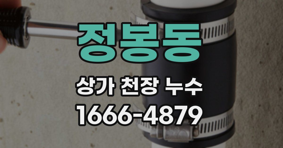 정봉동 상가 천장 누수