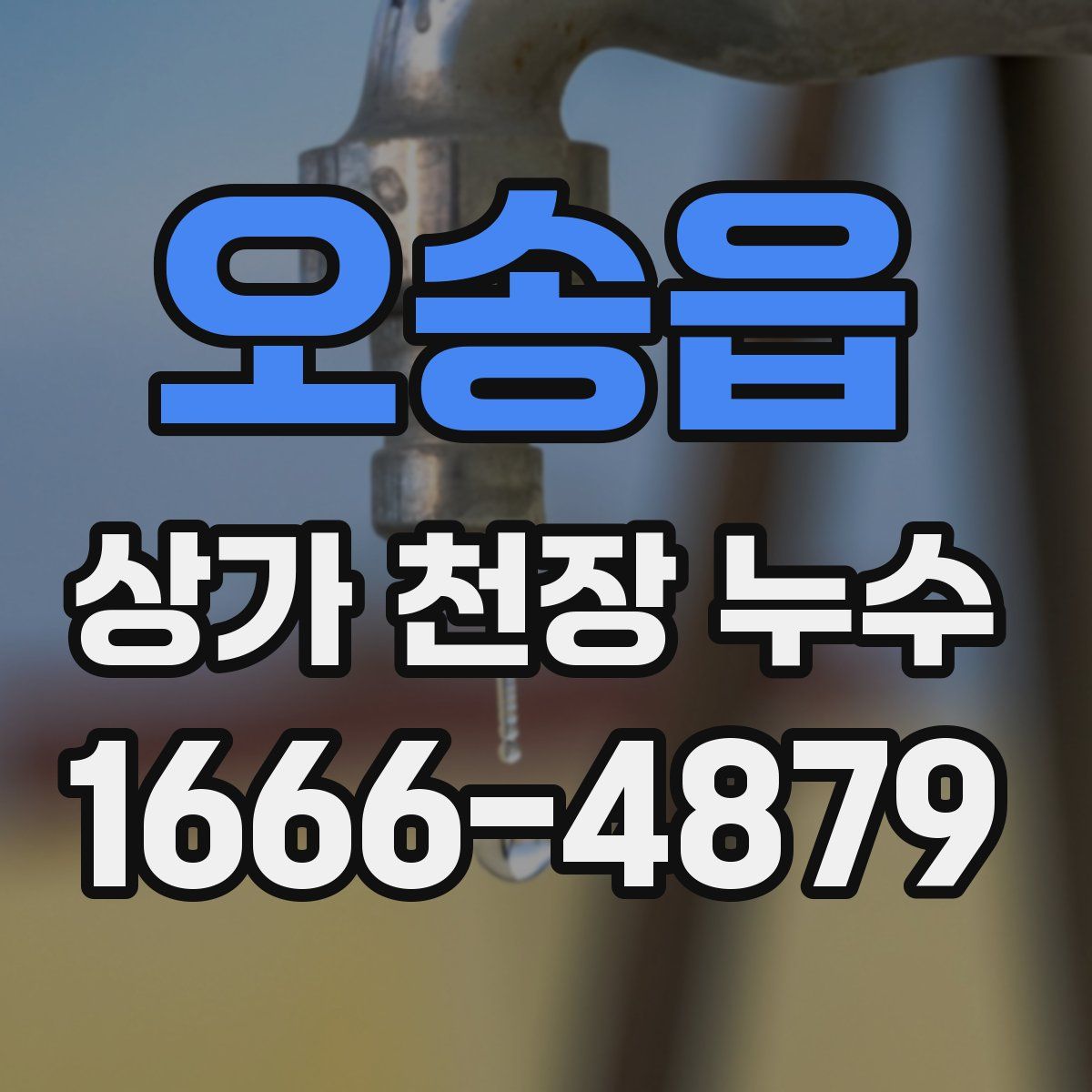 오송읍 상가 천장 누수