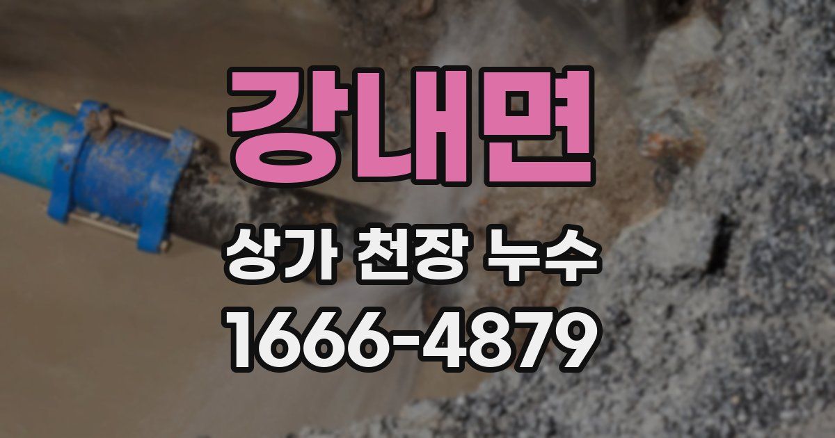 강내면 상가 천장 누수