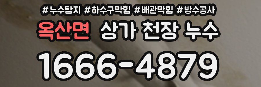 옥산면 상가 천장 누수