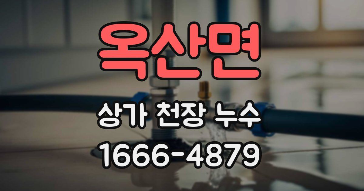 옥산면 상가 천장 누수