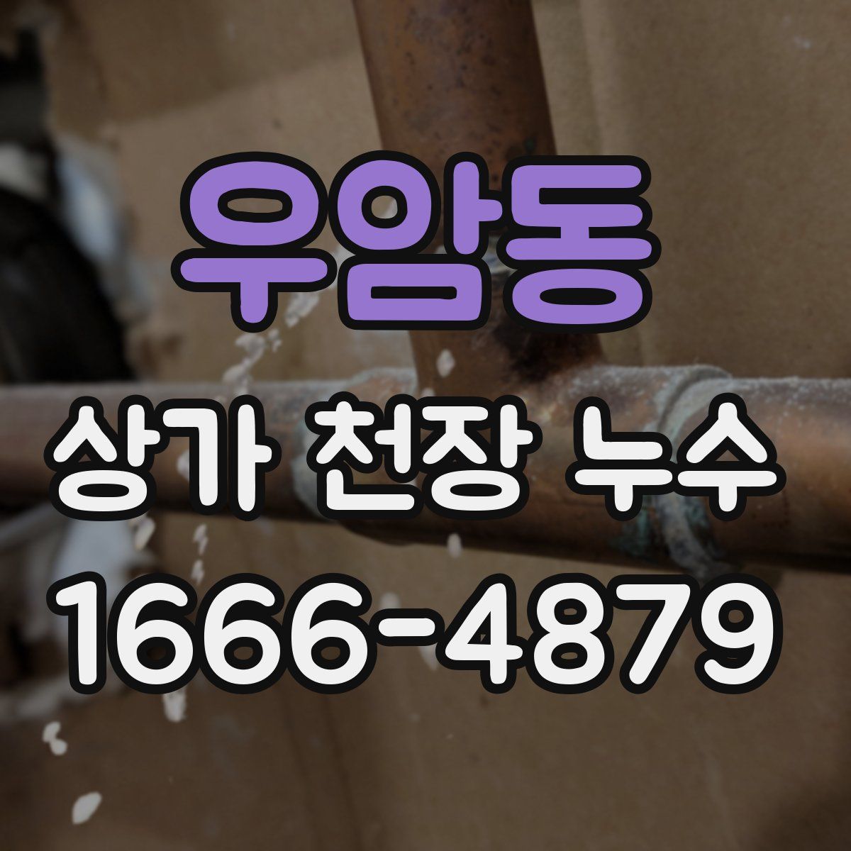 우암동 상가 천장 누수