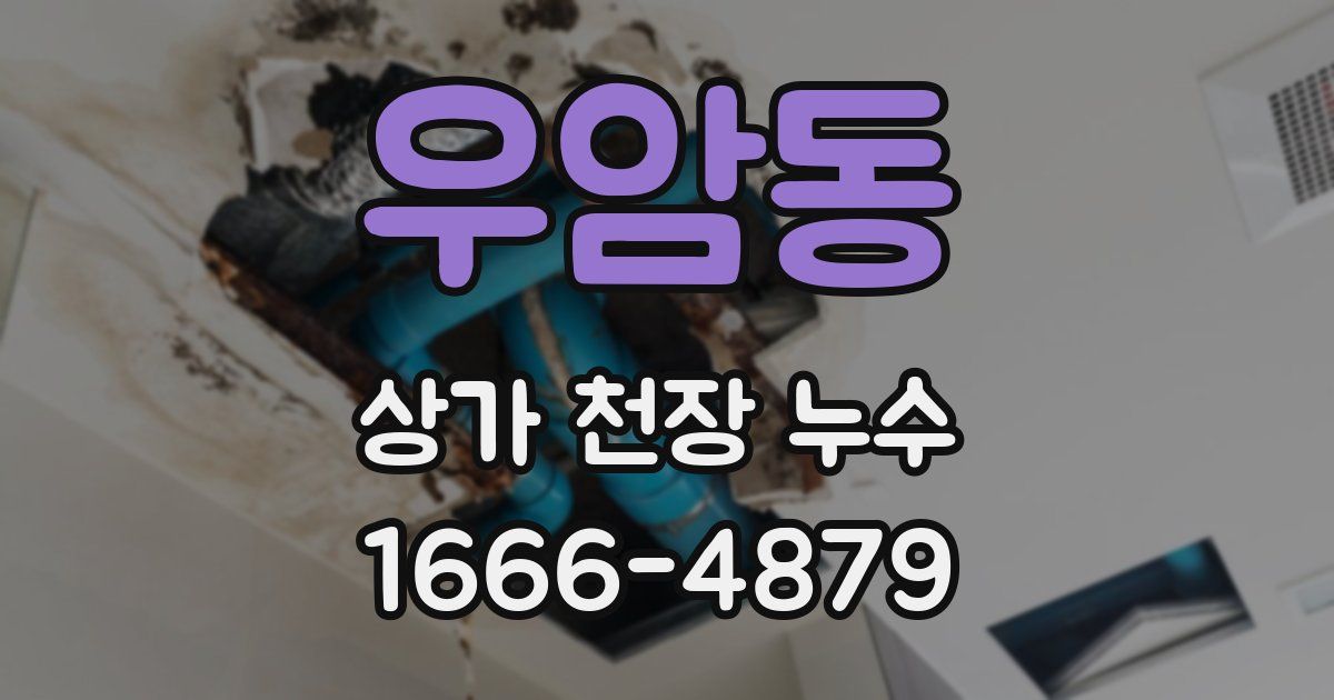 우암동 상가 천장 누수