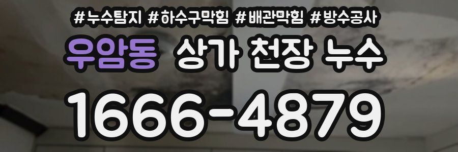 우암동 상가 천장 누수