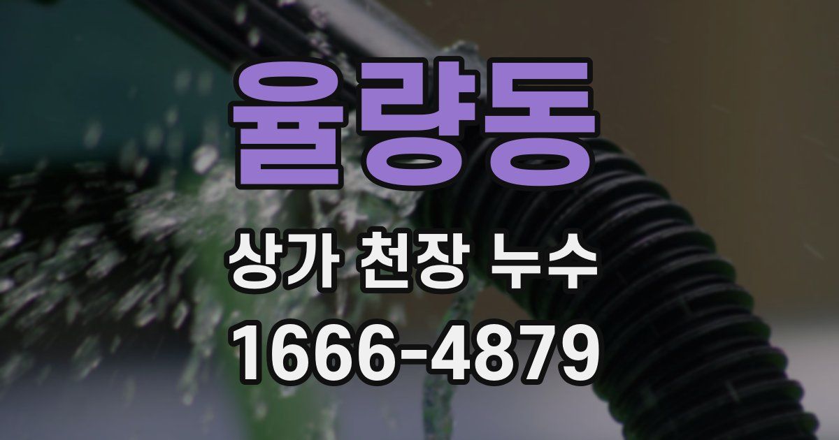 율량동 상가 천장 누수