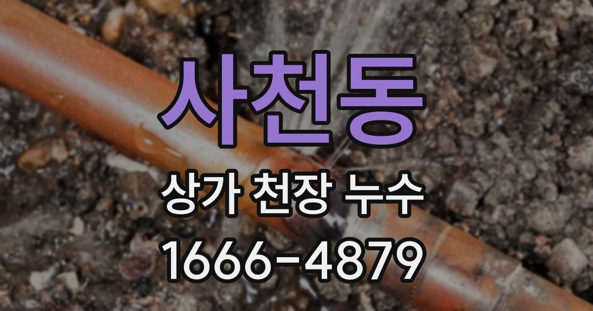 사천동 상가 천장 누수