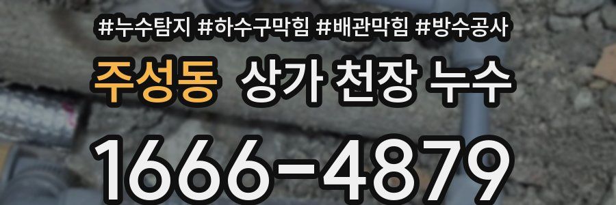 주성동 상가 천장 누수