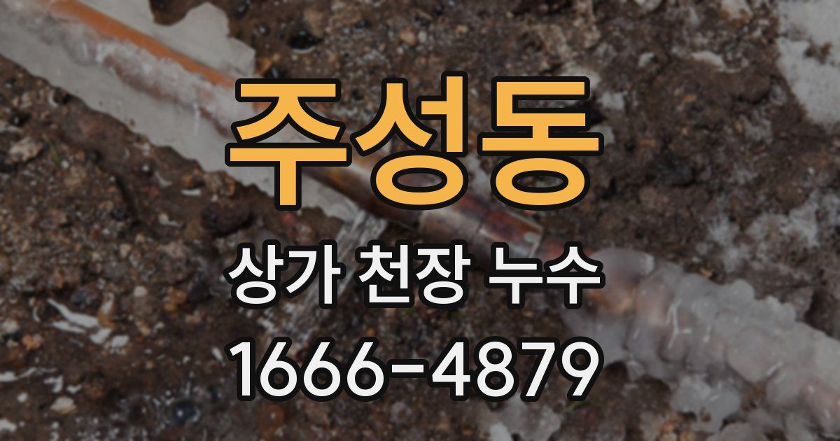 주성동 상가 천장 누수