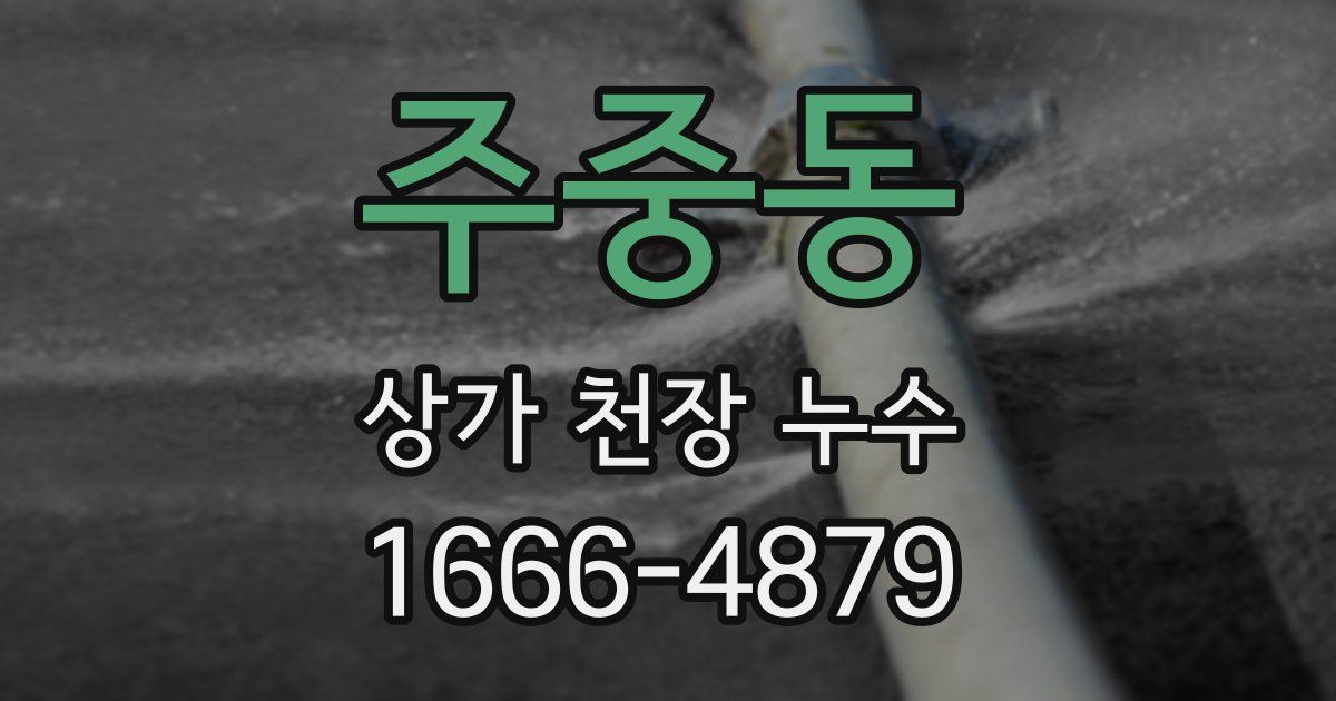 주중동 상가 천장 누수
