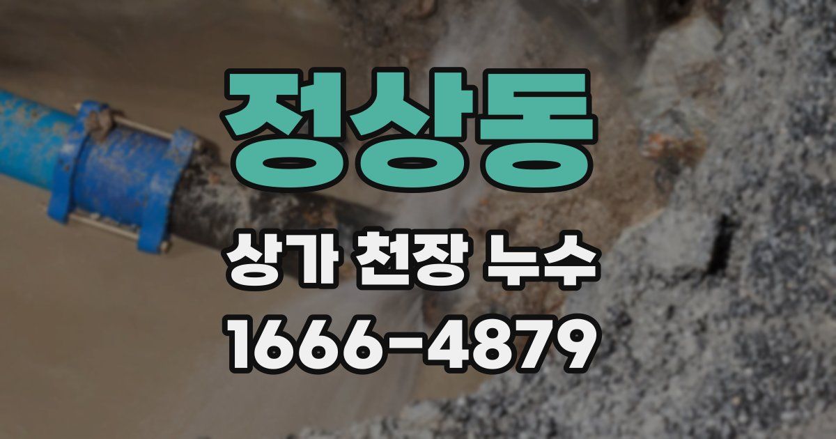 정상동 상가 천장 누수