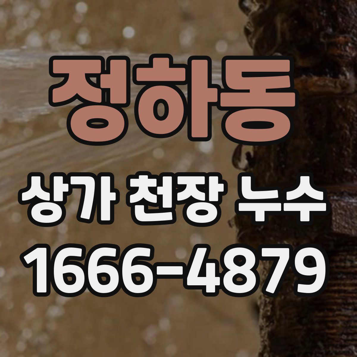정하동 상가 천장 누수
