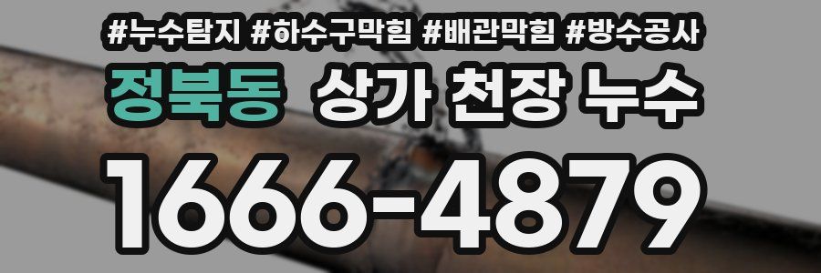 정북동 상가 천장 누수