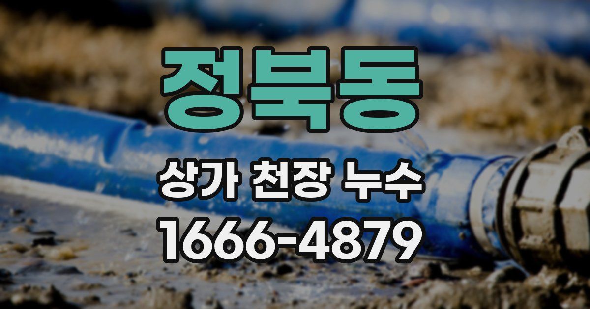 정북동 상가 천장 누수