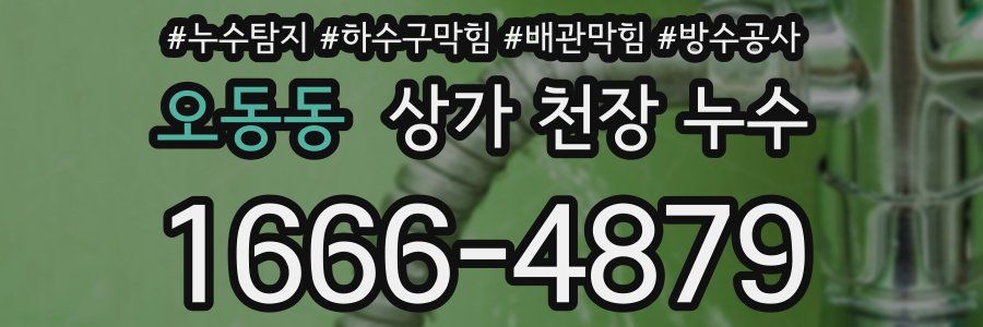 오동동 상가 천장 누수
