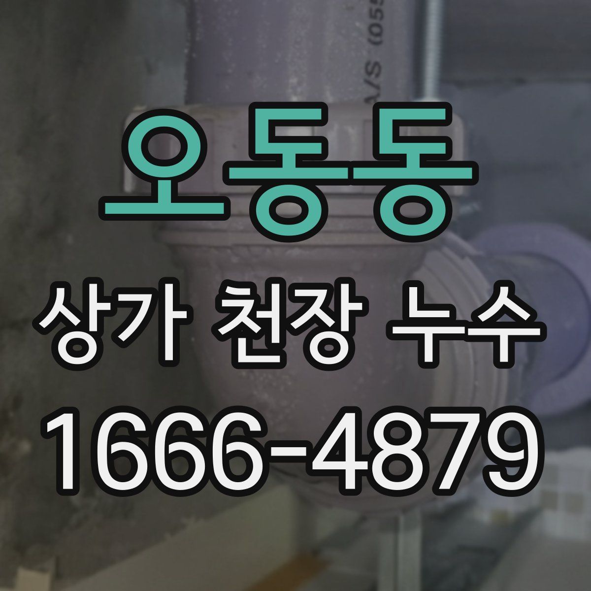 오동동 상가 천장 누수