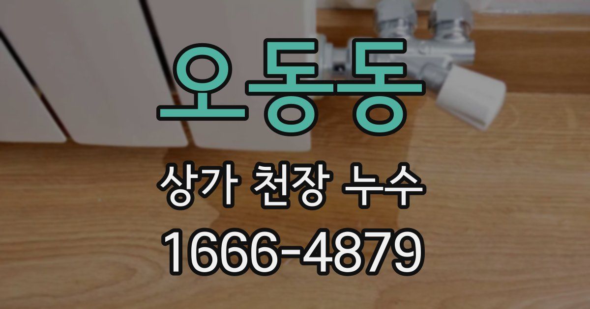 오동동 상가 천장 누수