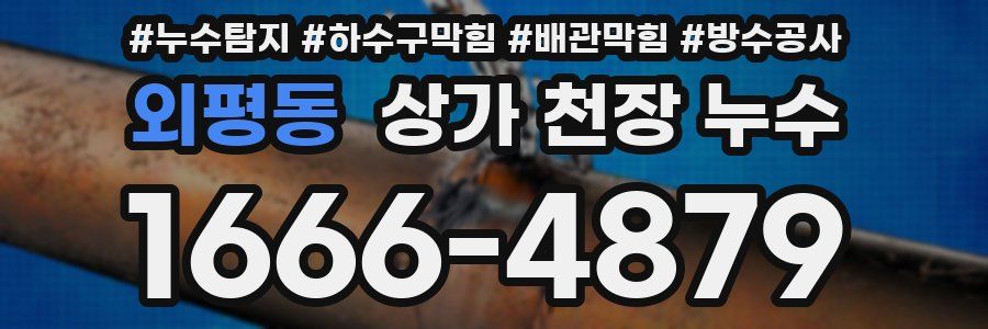 외평동 상가 천장 누수