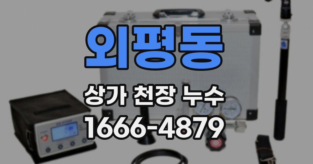 외평동 상가 천장 누수