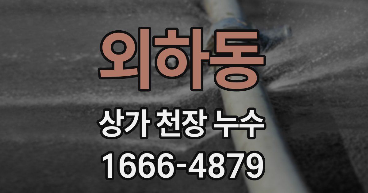 외하동 상가 천장 누수