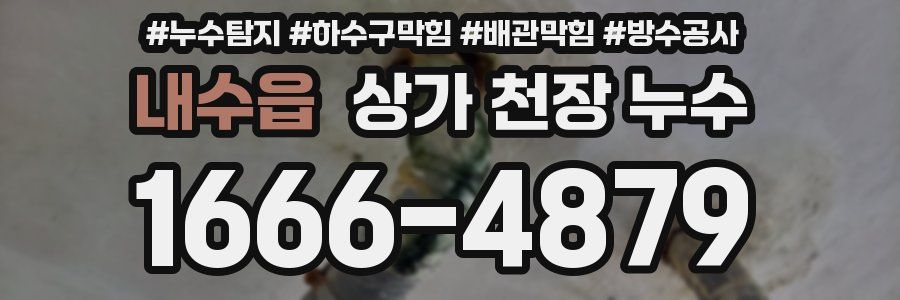 내수읍 상가 천장 누수