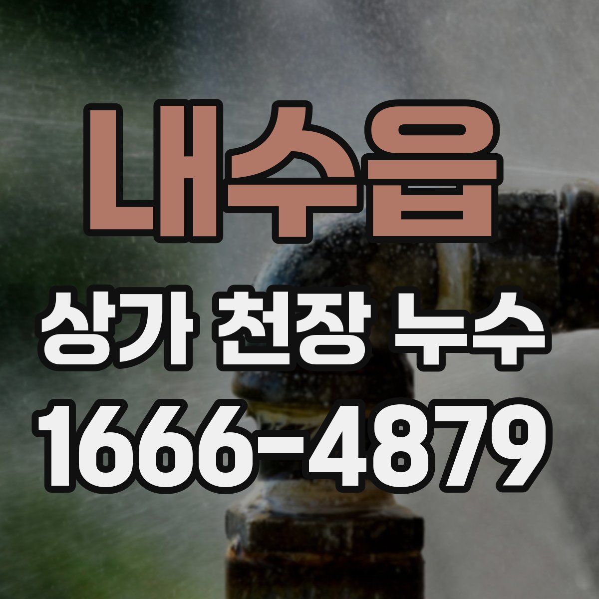 내수읍 상가 천장 누수