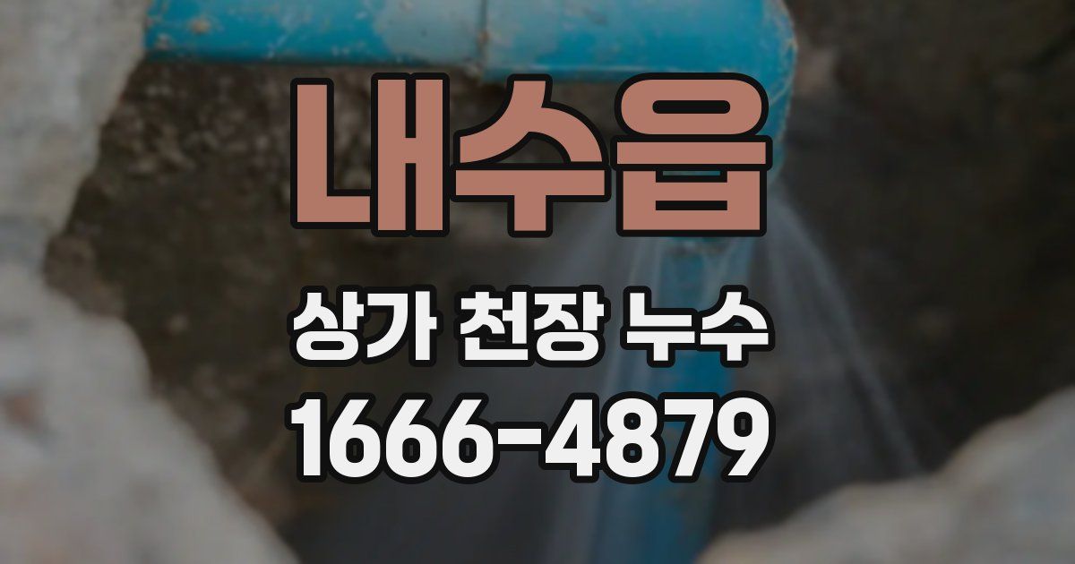 내수읍 상가 천장 누수