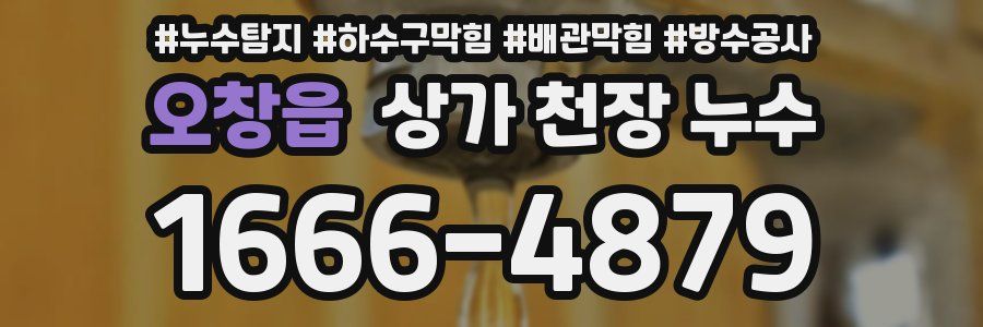 오창읍 상가 천장 누수