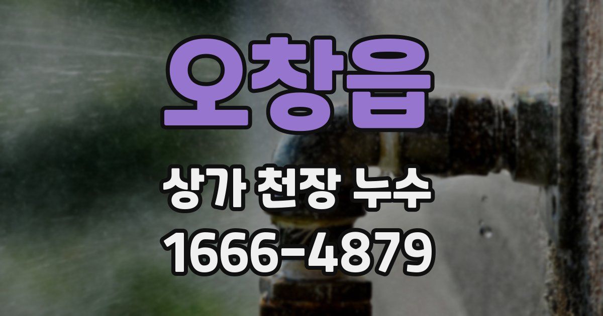 오창읍 상가 천장 누수