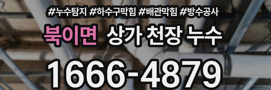 북이면 상가 천장 누수