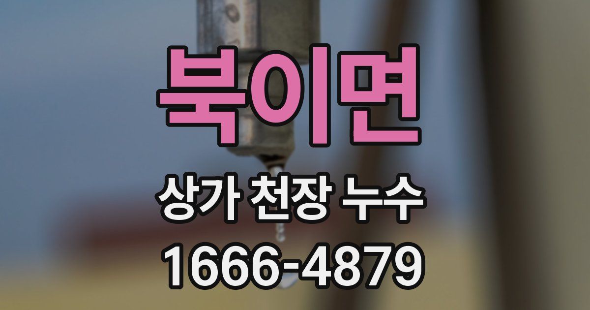 북이면 상가 천장 누수