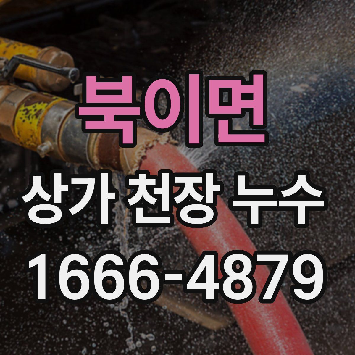 북이면 상가 천장 누수