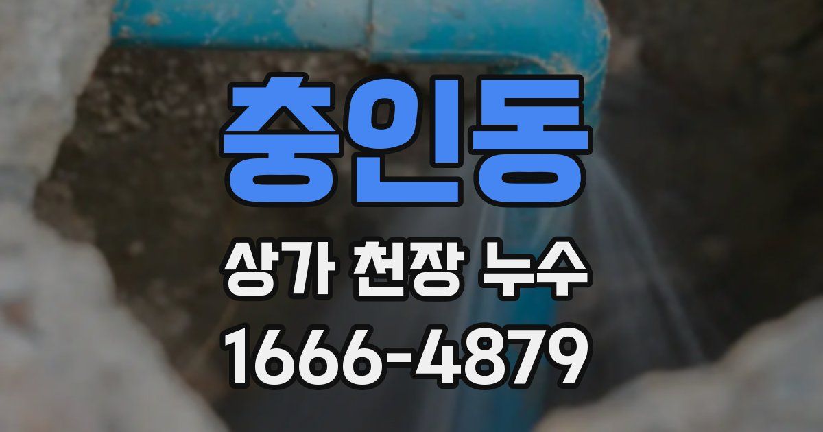 충인동 상가 천장 누수