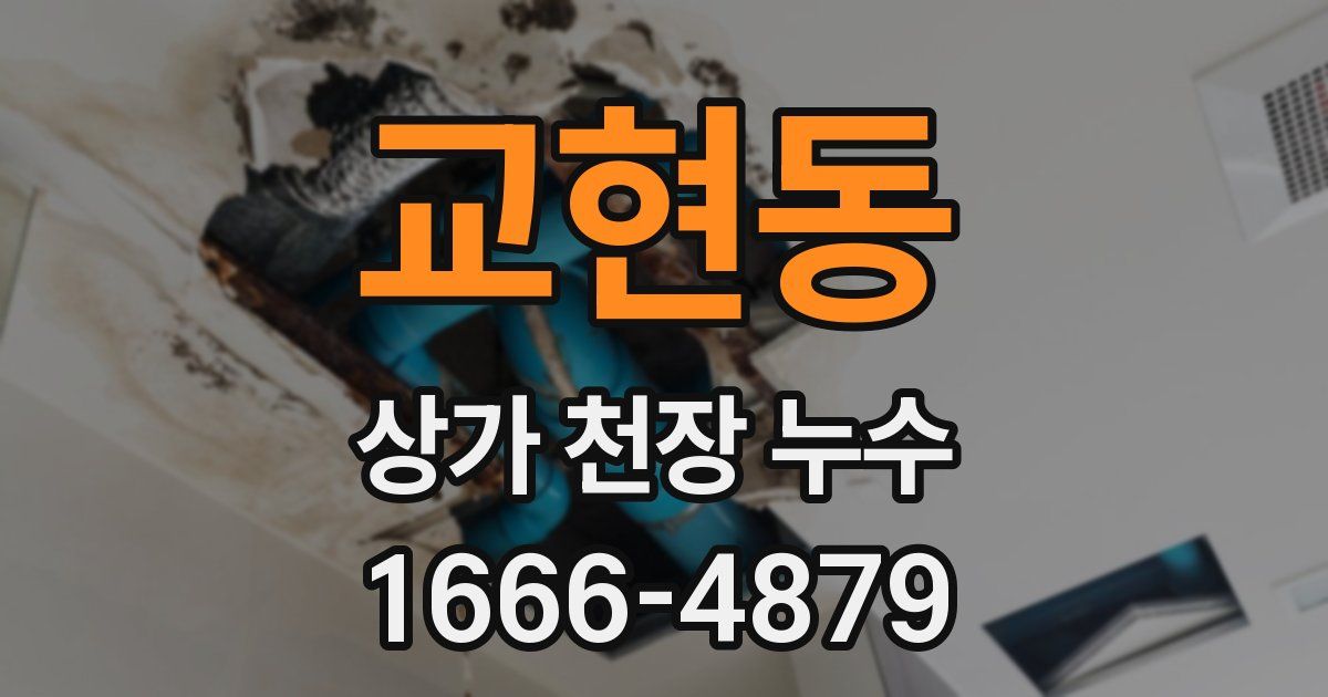 교현동 상가 천장 누수