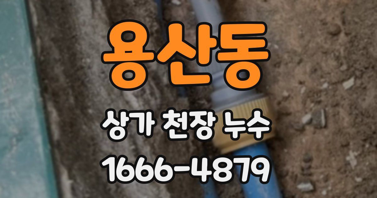 용산동 상가 천장 누수