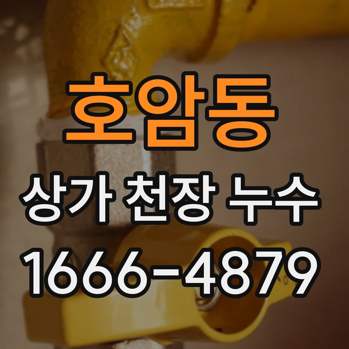 호암동 상가 천장 누수