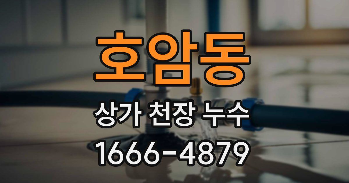 호암동 상가 천장 누수