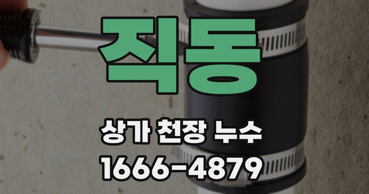 직동 상가 천장 누수